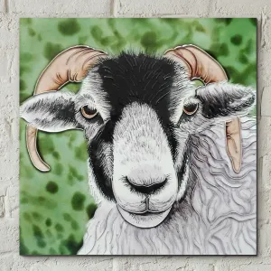 Ceramic Tile - Black Faced Ram (8x8")