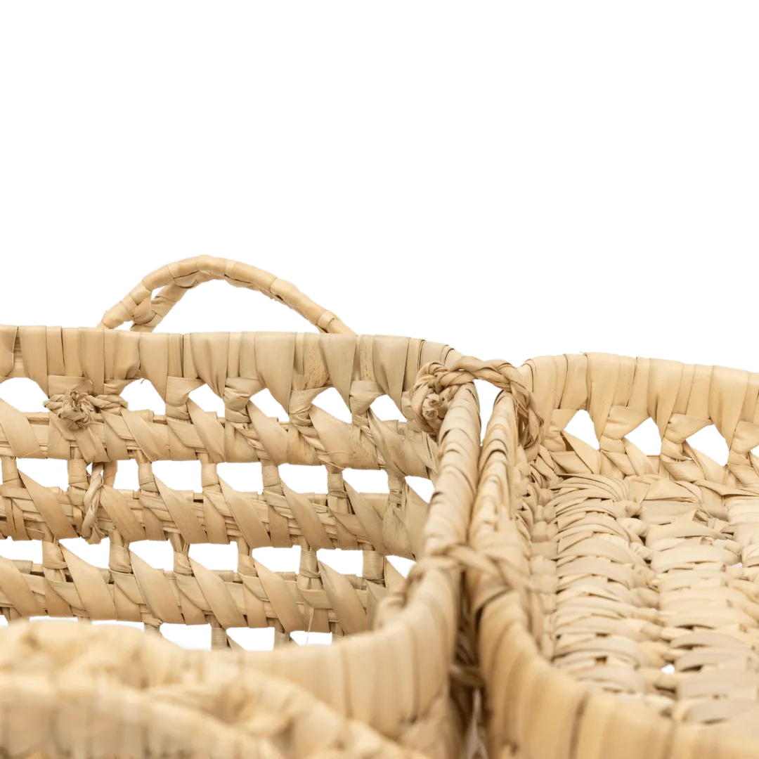 Palmerie Basket