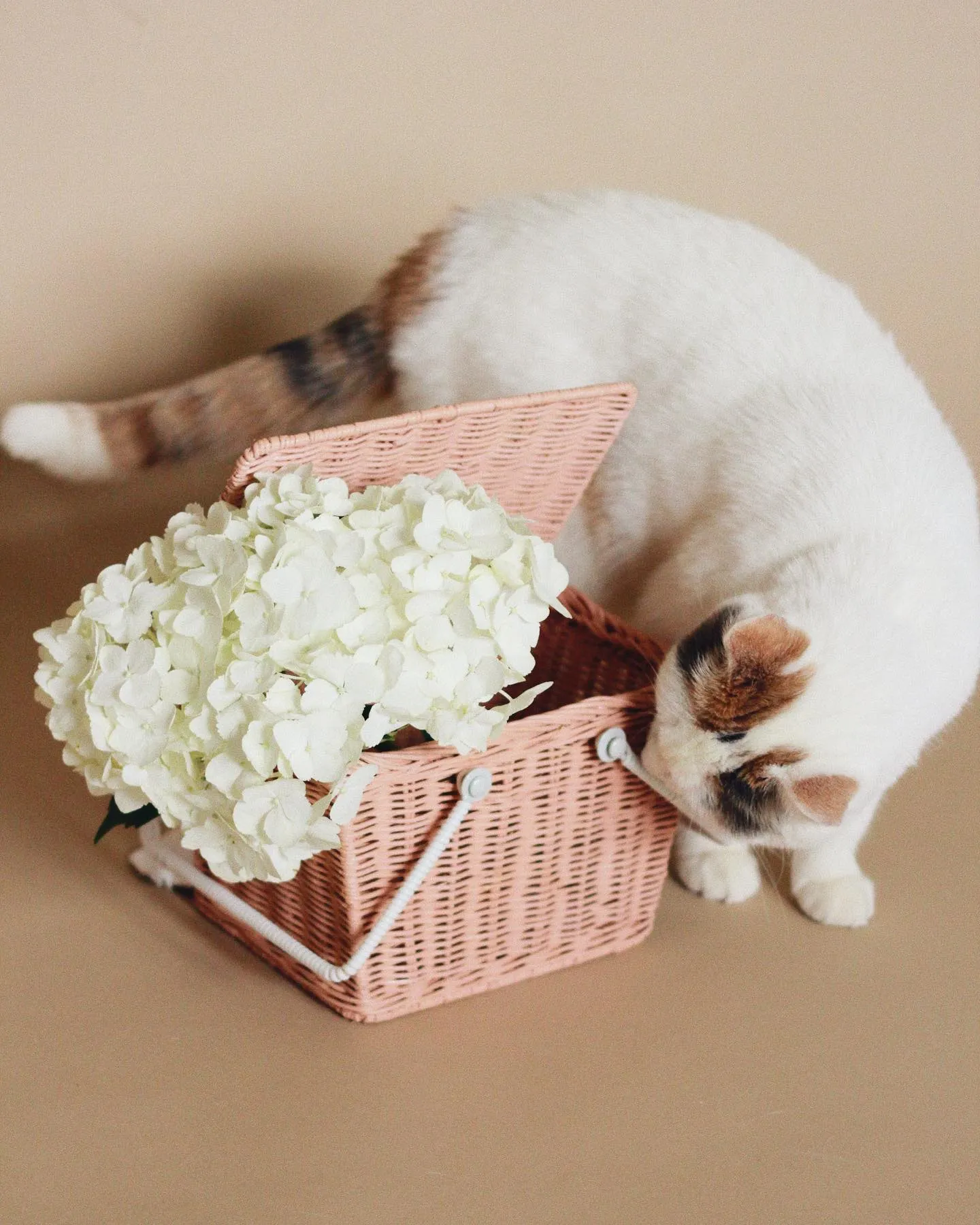 Piki Basket - Rose by Olli Ella