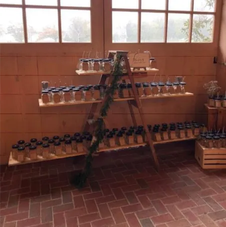 Rustic Ladder Shelf
