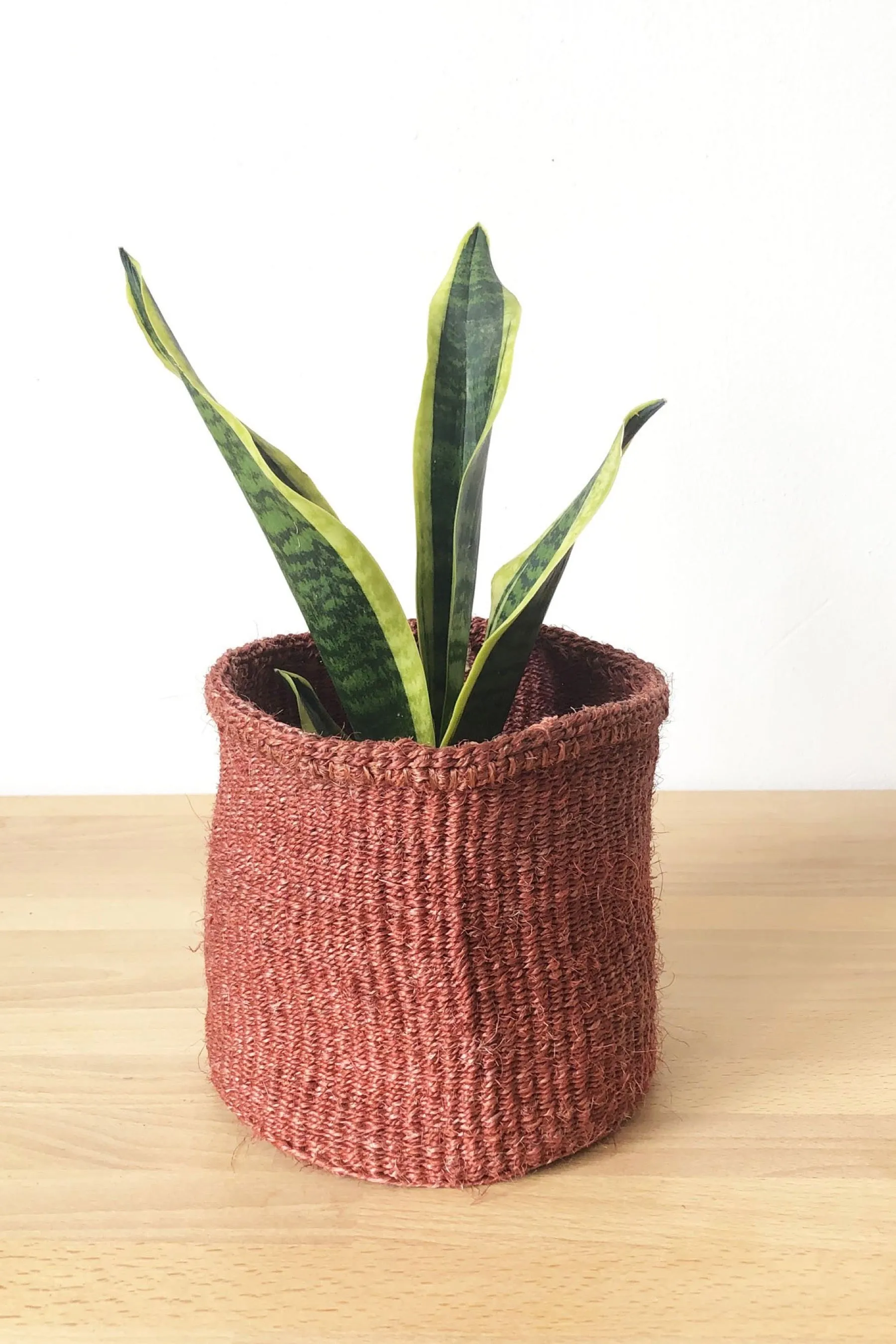 Small Canyon Storage Basket